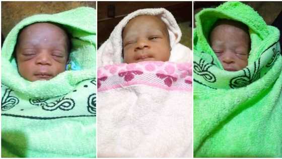 Nigerian mum sadly dies after giving Birth to Beautiful Triplets, Her Husband Cries Out For Public Assistance
