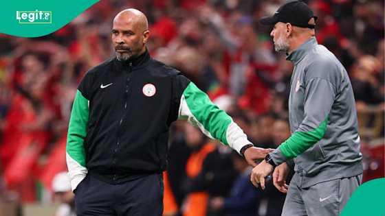 Eric Chelle shows loyalty to Nigeria, rejects "big money" offers from 2 top countries