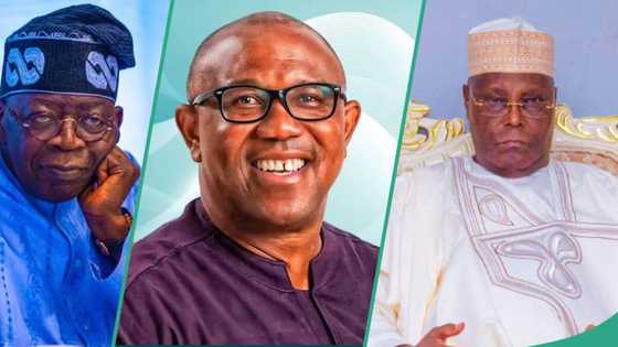 Presidential Election: Ohanaeze predicts what will happen to Tinubu if tribunal orders rerun