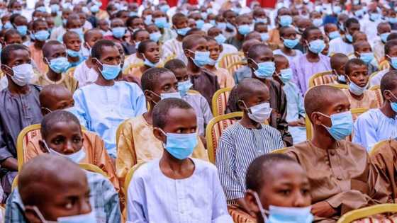 Abductor of Kankara schoolboys finally surrenders weaposn to Katsina govt