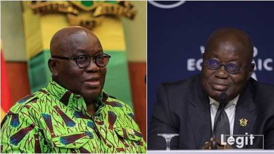 2023: Nana Akufo-Addo denies writing any letter to Tinubu