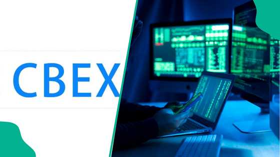 Nigerians react as Investors storm CBEX office, cart away with items