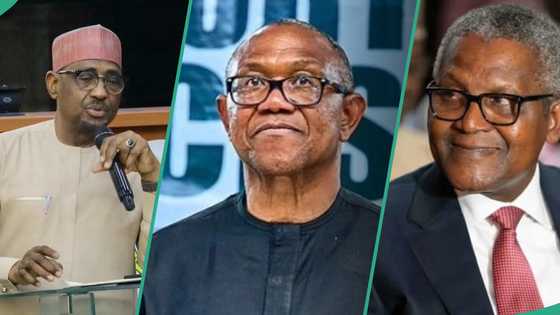 Dangote vs Farouk: Peter Obi explains new angle many Nigerians have not considered