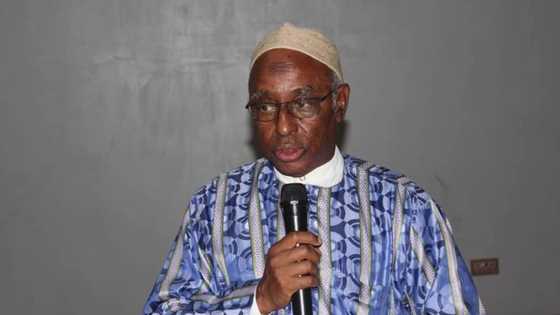 Halal industry: Nigeria eyes $150bn foreign investment from Middle East on Islamically alllowed products