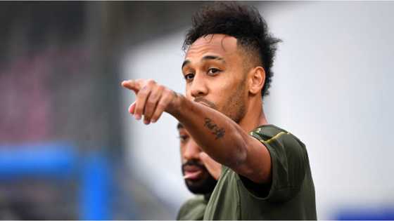 Jubilation at the Emirates as sensational Arsenal star claims Gunners are ready to surprise the world