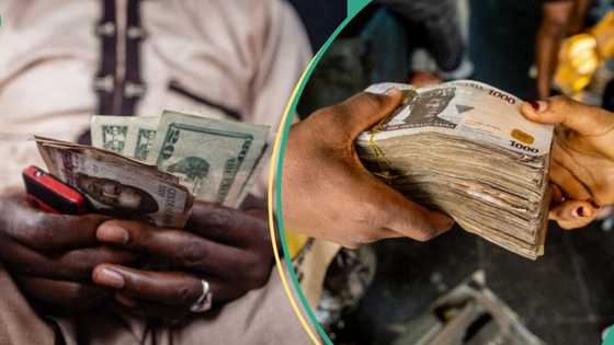 Dollar crashes in official market as CBN speaks on deposit safety in banks, naira gains