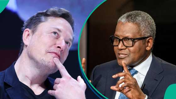 Elon Musk wealth soars to highest level in history, Dangote gets new position in world ranking