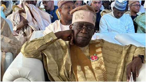 Tinubu speaks on climate change, shifts attention to "recharge the Lake Chad"