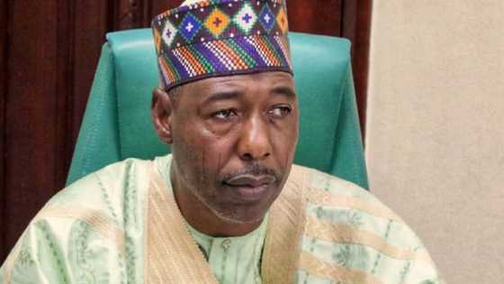 2023: Zulum Muke So Ya Zama Mataimakin Tinubu, Masu Ruwa Da Tsaki Na APC