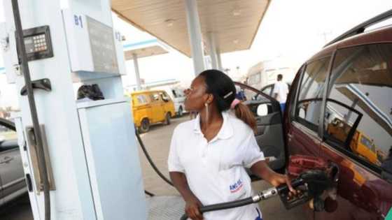 Petrol marketers to commence sale of cheaper fuel, give timeline as diesel nears to N2,000/litre