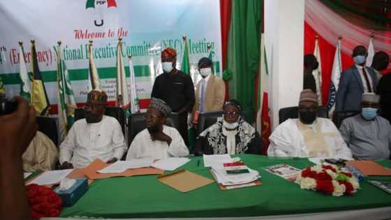 Fact Check: Has PDP truly thrown 2023 presidential ticket open to all zones?