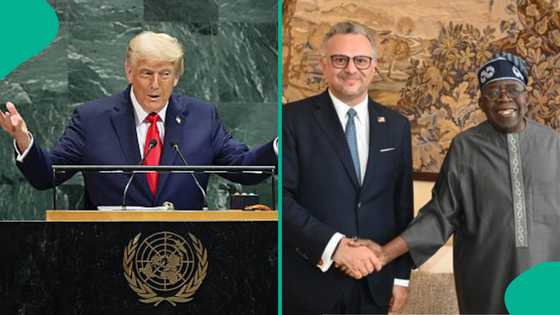 'An fi kashe Musulmi,' Hadimin Trump ya karyata zargin kisan Kiristoci a Najeriya