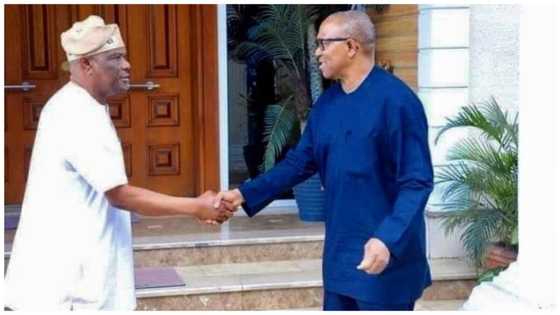 2023 presidency: Why I visited Wike, Peter Obi shares important details