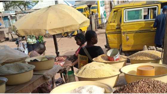 Legit.ng weekly price check: Lagos trader complain bitterly as cost price of rice fluctuate