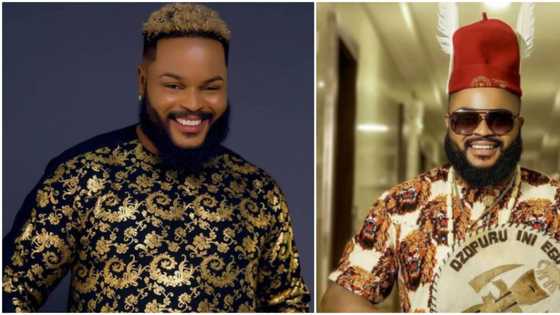 They'd rather attack his song: Whitemoney's fans issue serious warning to those beefing him over achievements