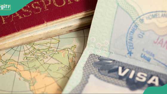 UK student visa: Documents you must prepare before applying to avoid delays
