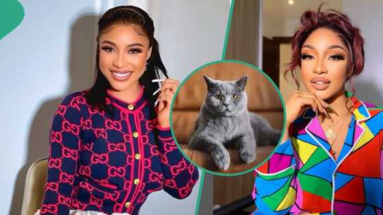 Tonto Dikeh complains about her white friend after they invited her to Zoom burial for their cat