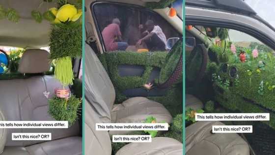 "Agric teacher don buy car": Man uses grass to redesign interior of new ride, video goes viral