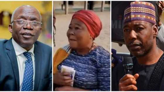 Why Governor Zulum’s reward of Igbo teacher is indictment on divisive politicians - Femi Falana