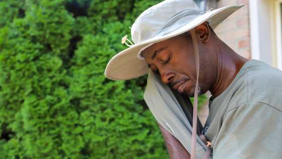 My Daughter Pretended Her Poor Father Was Dead — Her Husband’s Empire Fell and She Returned to Me