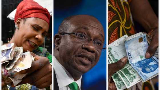 CBN speaks on new, old naira notes cash swap programme after supreme court order