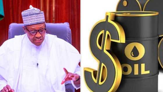 FG could pocket over N8bn daily as OPEC agrees Nigeria pump more Oil 'If Possible' as oil price nears $120pb