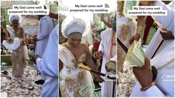 “Daddy wey dey pamper”: Bride's father delights guests with generous dollars spraying at wedding