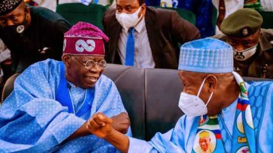 2023: Gwamna El-Rufai, Ganduje da wasu jagororin arewa zasu sa labule da Tinubu kan zaɓo mataimakinsa na gaske