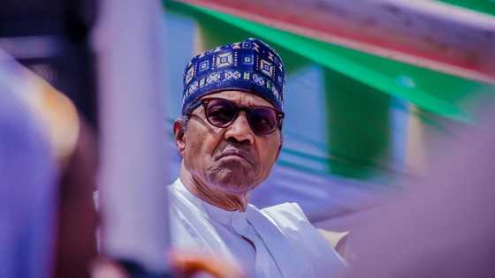 Abin da Buhari Ya Yi Ya Jawo darajar Naira ta ke Karyewa a Yau – Sanatan PDP