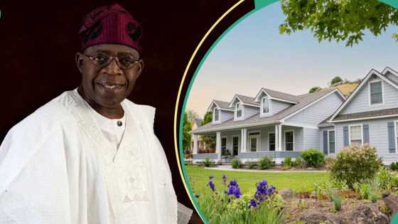 “Form is free”: Minister updates procedure to buy houses, invites Nigerians home, abroad