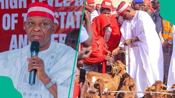 "Bai dace ba:" Jafar Jafar ya soki yadda Gwamna Abba ya buge da raba awaki a Kano