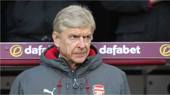Just in: Premier League club chief holds talks with Arsene Wenger over blockbuster return