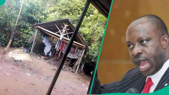 "Let the gods fight for themselves": Nigerians react as Soludo goes after herbalist, seals Okija shrine