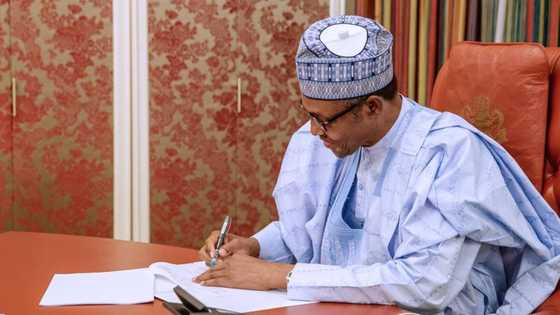 Buhari ya amince da nadin Bello Maitama a matsayin darekta a NRC