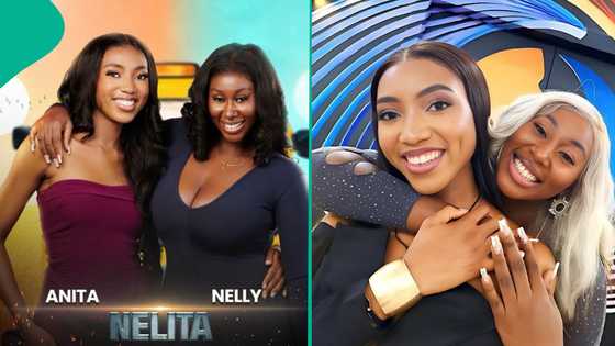 BBNaija Season 9: Nelita wins Head of House ballot, their Condos partners' choice spurs reactions