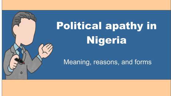 Top 10 reasons for political apathy in Nigeria explained