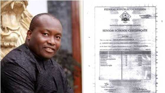 NECO clears Ifeanyi Ubah of forgery allegations, confirms his result with INEC