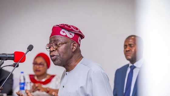 Tinubu finally reacts to US documents on alleged drug dealing, money laundering