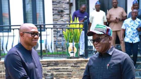 I’m ready to sacrifice my senatorial ambition for Peter Obi, says Ortom