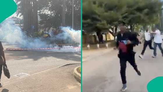 Sakin Nnamdi Kanu: Sowore, 'yan zanga sun ruga da gudu bayan fara harbi