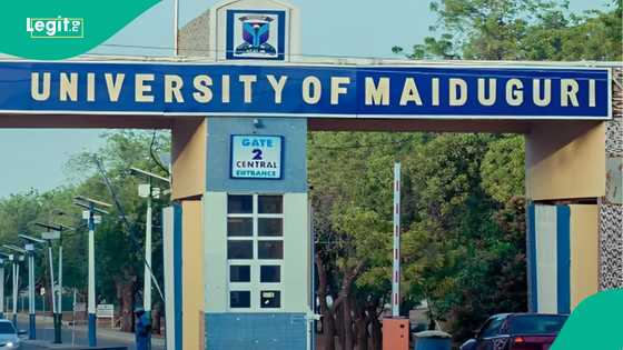 Ambaliyar ruwa: Mahukuntan jami'ar UNIMAID sun dauki matakin gaggawa