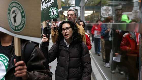 Starbucks baristas launch strike on chain's 'Red Cup Day'