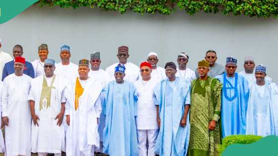 Just in: 16 Nigerian governors endorse state police as insecurity threatens Tinubu’s govt