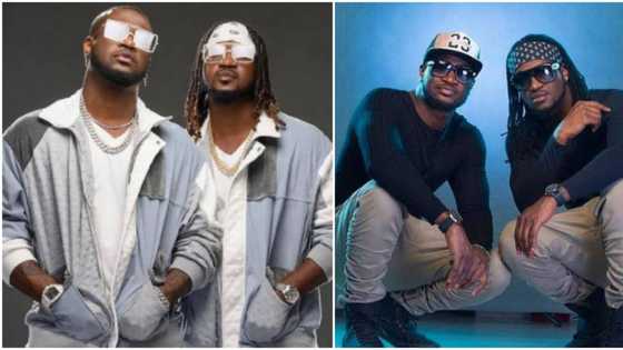 We'll shut down O2 with or without new songs: Peter Okoye vows on behalf of P-square, Nigerians react