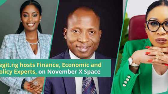 Nancy Nnaji, Paul Alaje & Chinenye Uwanaka, Join Legit.ng to Discuss Strategies for Naira Stability