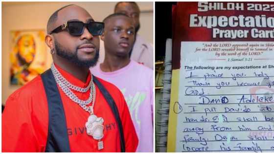 Nigerian react as fan adds singer Davido as Shiloh prayer request: "Big amen to it"
