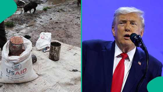 Matakan Donald Trump sun fara jefa dubban jama'a cikin hadari a jihar Yobe