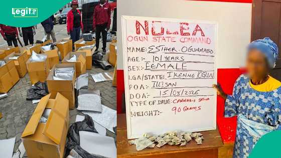 NDLEA arrests 101-year-old great-grandmother for selling illicit drugs