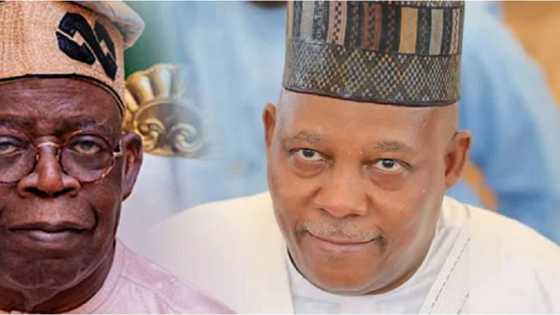 2023: Ka Maye Gurbin Shettima Da Kirista, Matasan APC Suka Fada Wa Tinubu