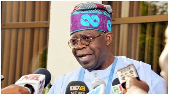 2023: Why Tinubu remains the only tested presidential candidate, Oyo Gov aspirant reveals